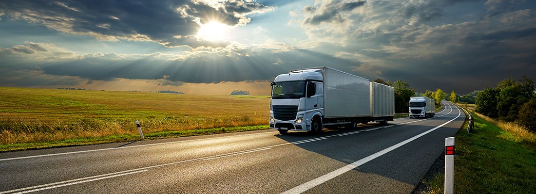 Esenyurt profesyonel evden eve nakliye esnasında eşya taşıma